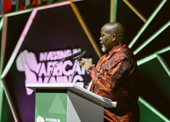 Gwede Mantashe