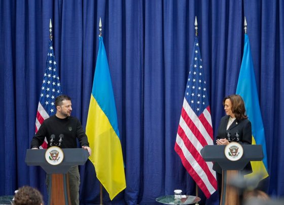Zelenskyy and Harris