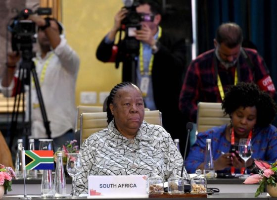 Dr Naledi Pandor