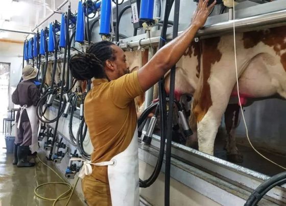 Agribusiness