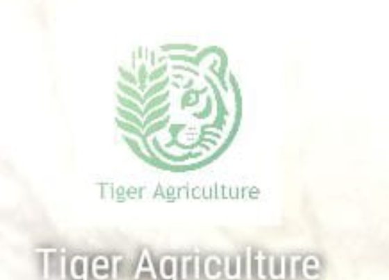 Tiger Agriculture