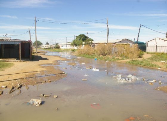 CoGTA
