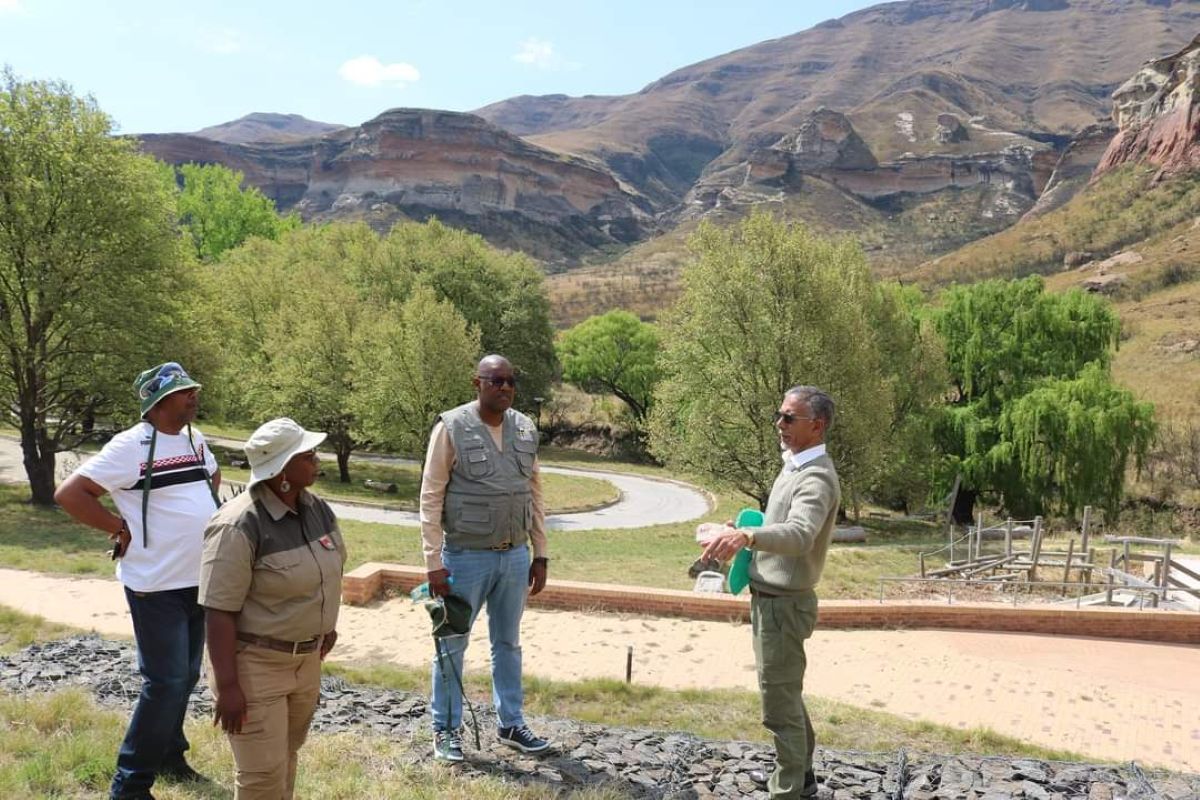 DESTEA to commemorate World Environmental Day