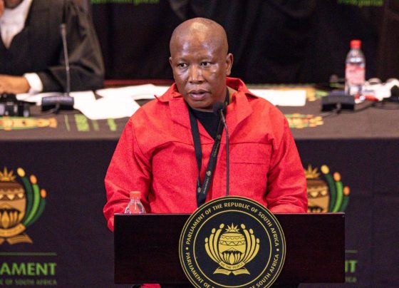 Julius Malema