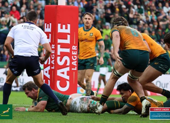 Springboks