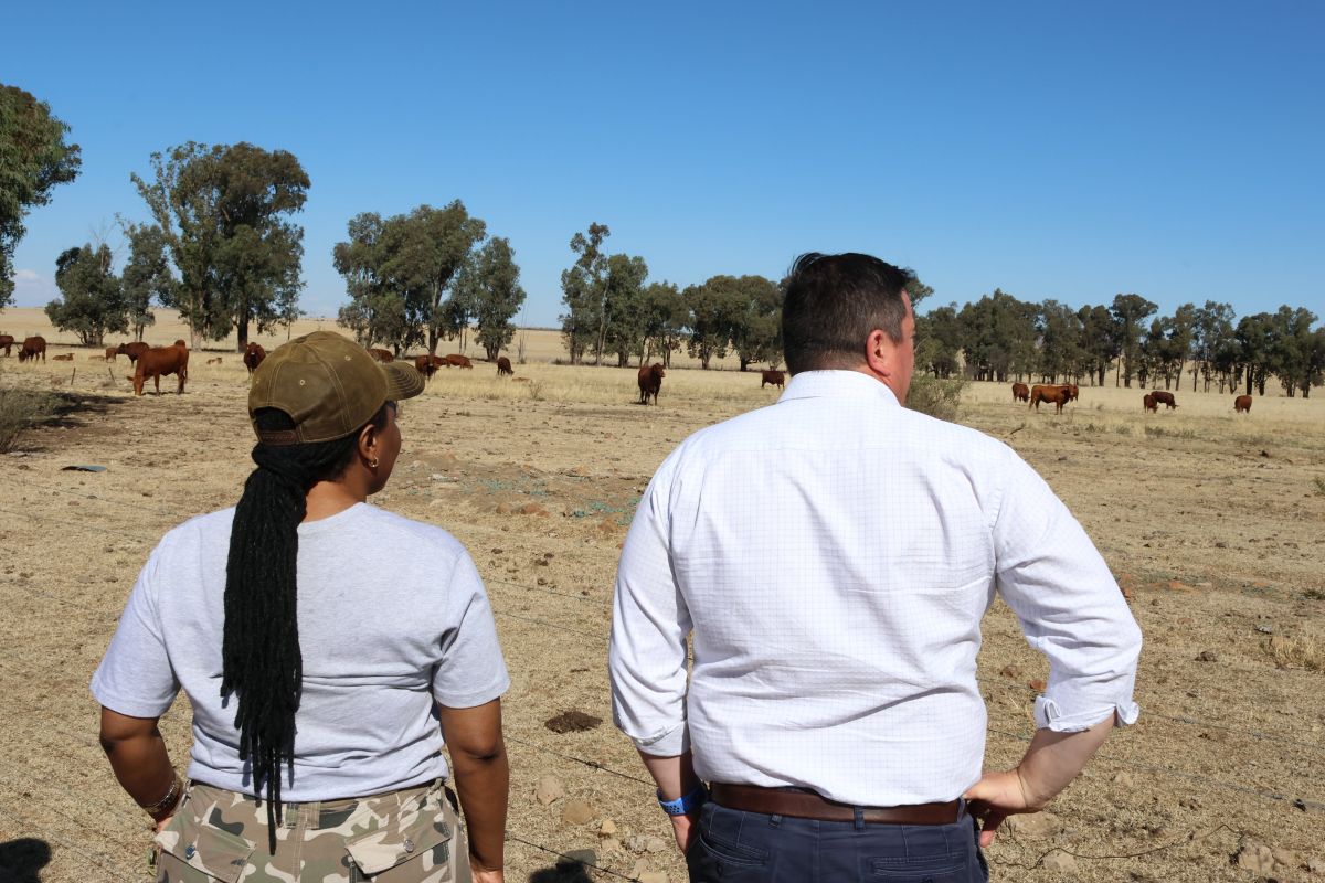 DoA spends R72 million on FMD vaccines