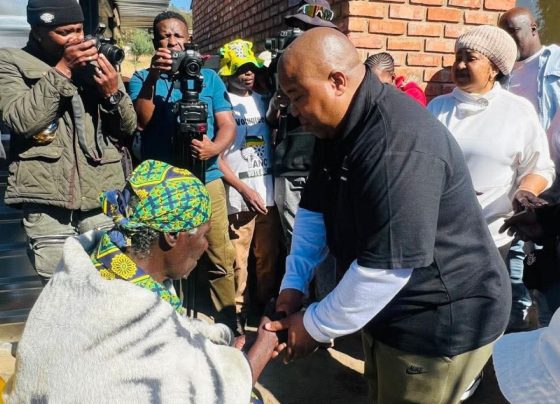 MEC Saki Mokoena