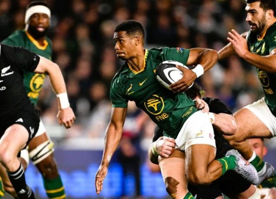Springboks