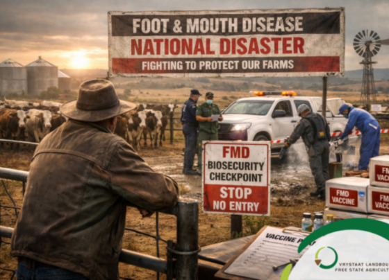 Foot and Mouth Disease