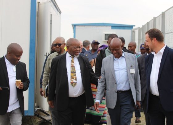 Gwede Mantashe