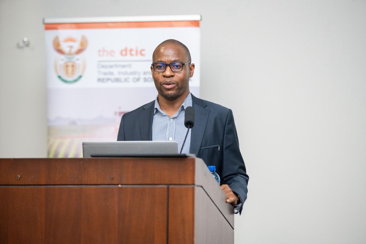 Government SID strategy to accelerate catalytic projects