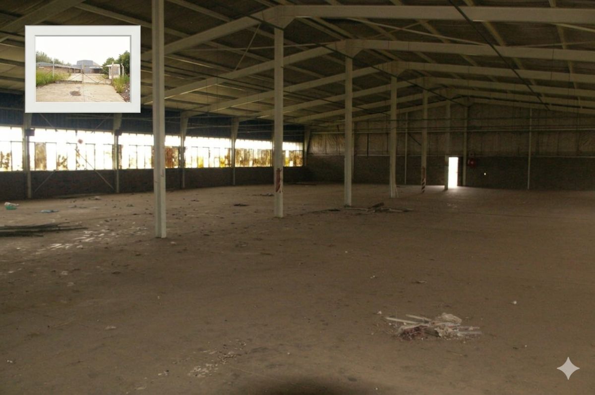 ANC to revitalise industrialisation and local economy