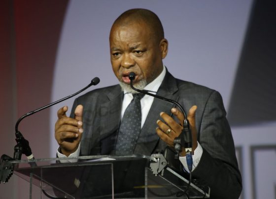 Gwede Mantashe