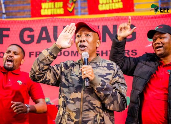 Julius Malema, leader of the EFF.