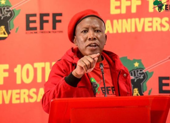 Julius Malema