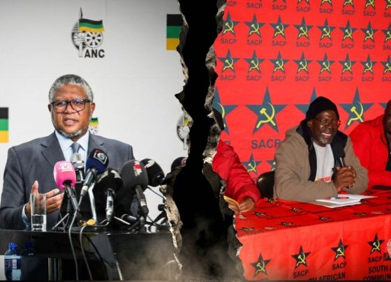 ANC SACP