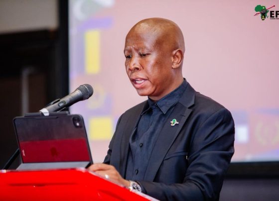 Julius Malema