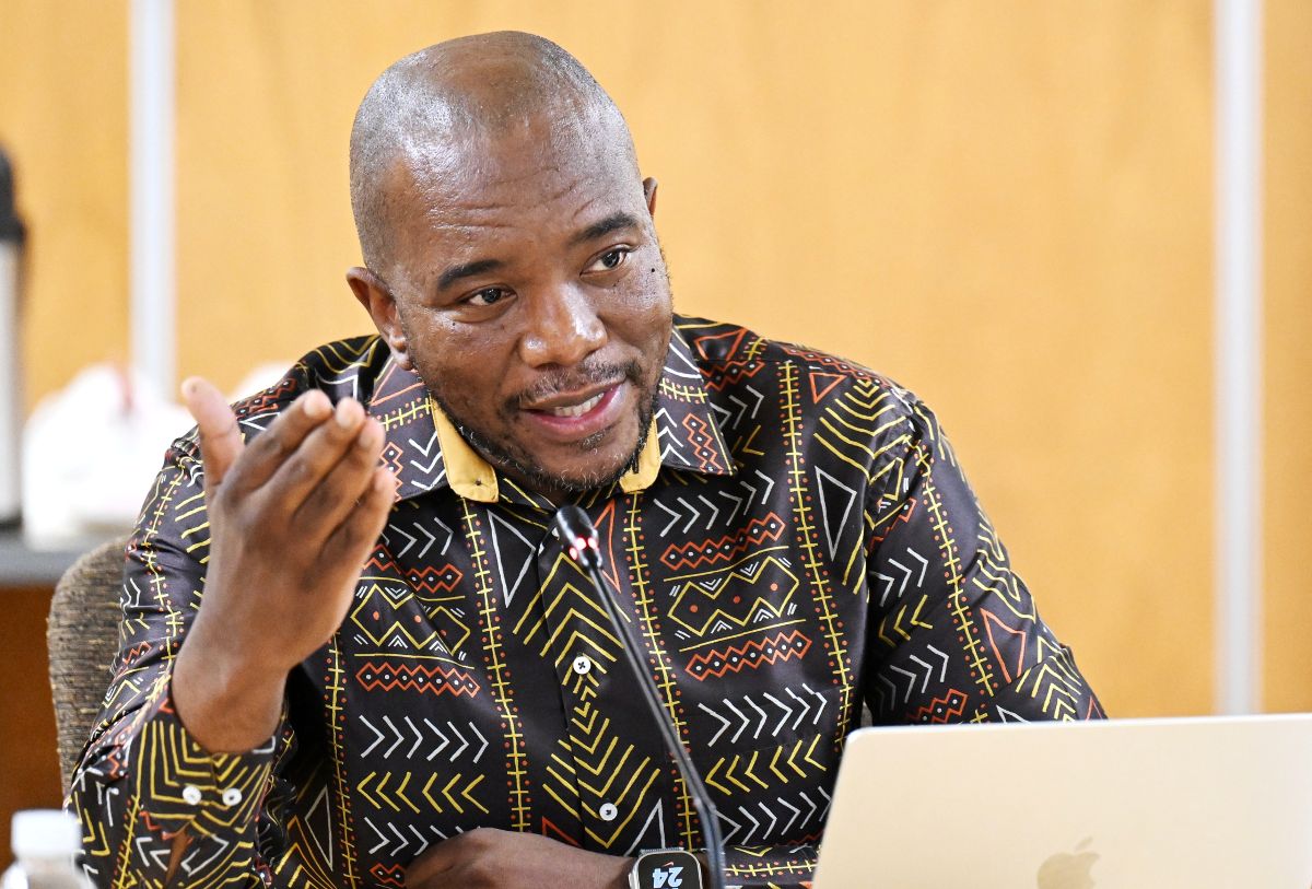 Phala Phala Impeachment Committee Formed: Maimane Joins High-Stakes Parliament Panel