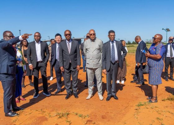 Parks Tau