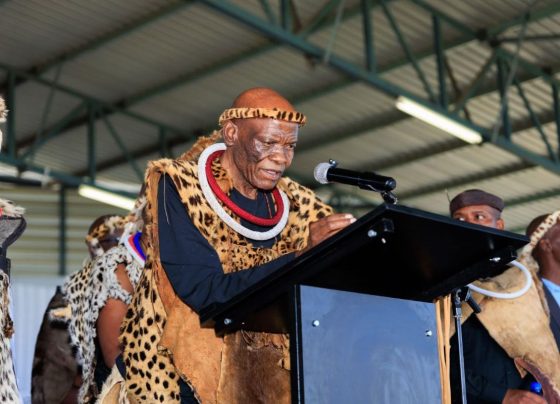 King Makhosonke ll