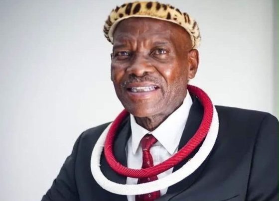 King Makhosonke ll