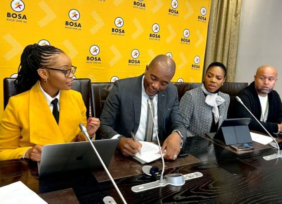 Ayanda Allie and Mmusi Maimane.