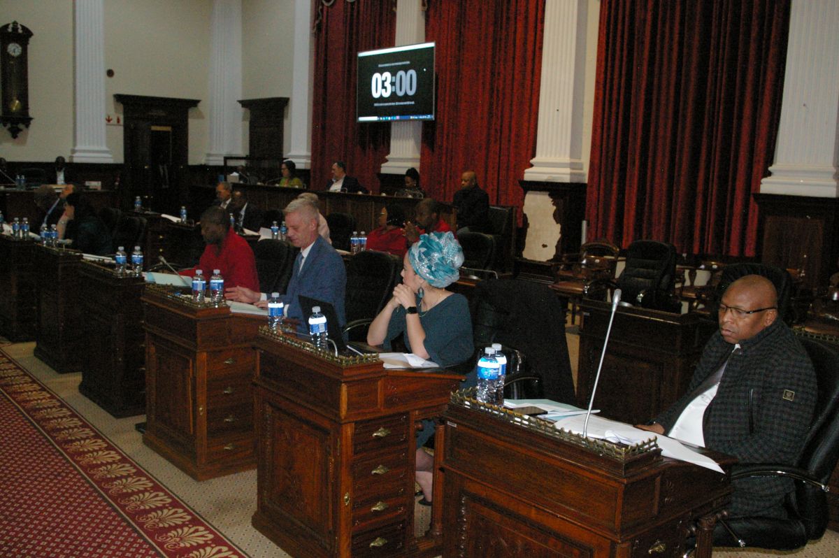 Free State Requests Category 1 Official Funeral Following Death of Former MEC Thembeni Nxangisa