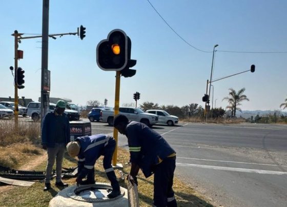 Gauteng Traffic signals.