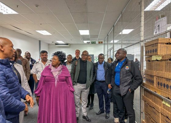 MEC Faith Mazibuko