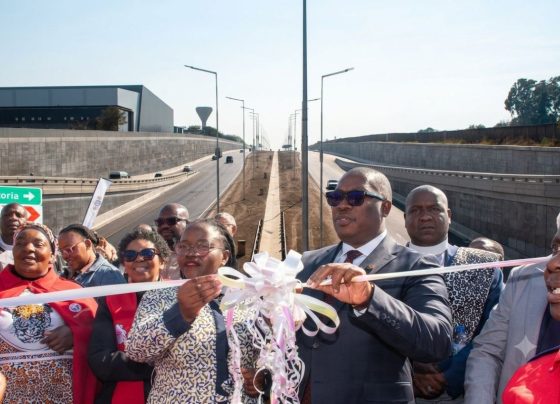 Premier Lesufi and MEC Diale-Tlabela.