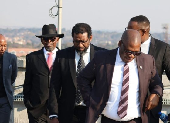 Premier Panyaza Lesufi