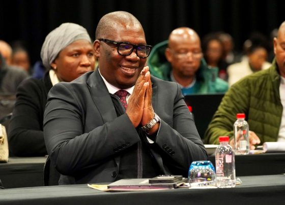 Premier Panyaza Lesufi
