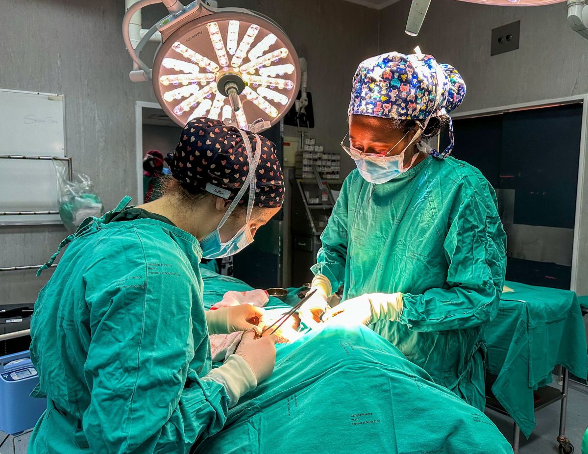 Political Friction Over Cancer Care: Relief for Patients as Health Department and Opposition Clash Over Liquid Nitrogen Shortages