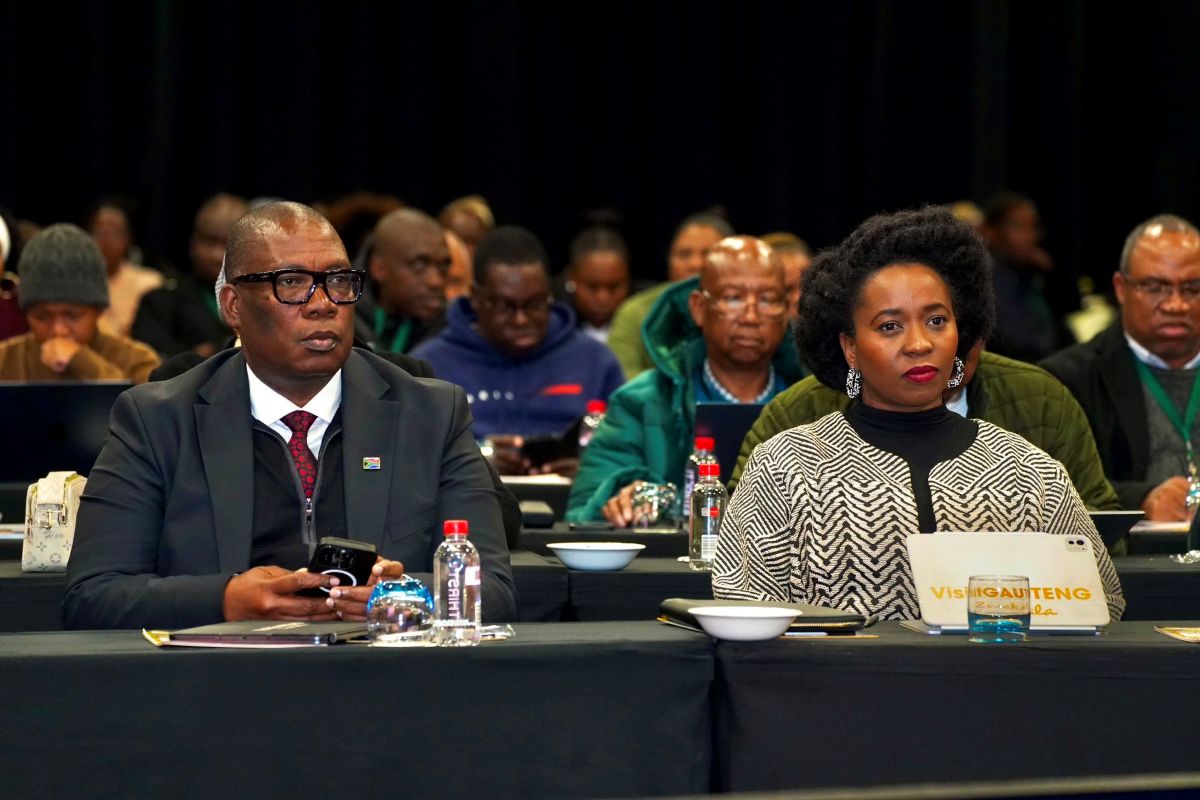 Capturing the Value Chain: How Blended Finance is Transforming Gauteng’s Agro-Processing Sector