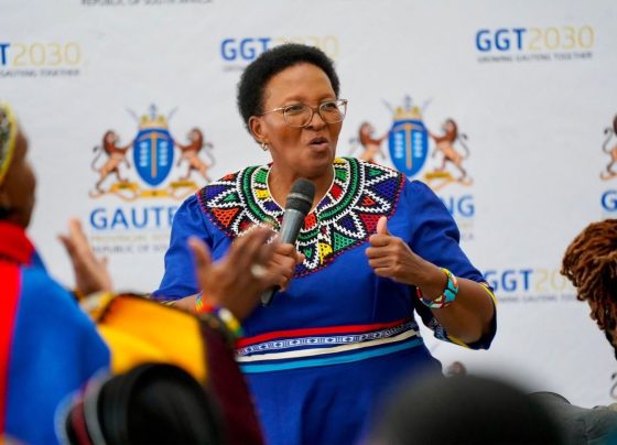Acting Gauteng Premier.