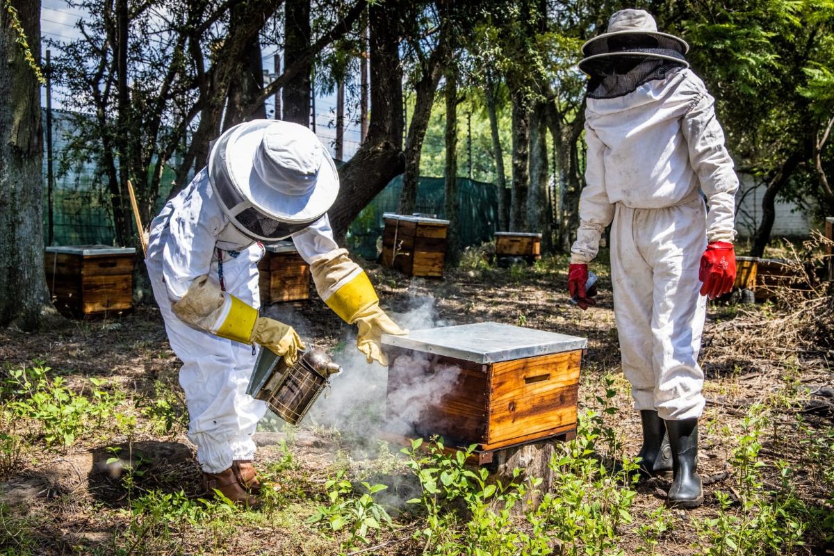 From a Spark in Soweto to a Sweet Empire: How Mems Ramaila is Redefining South Africa’s Honey Industry