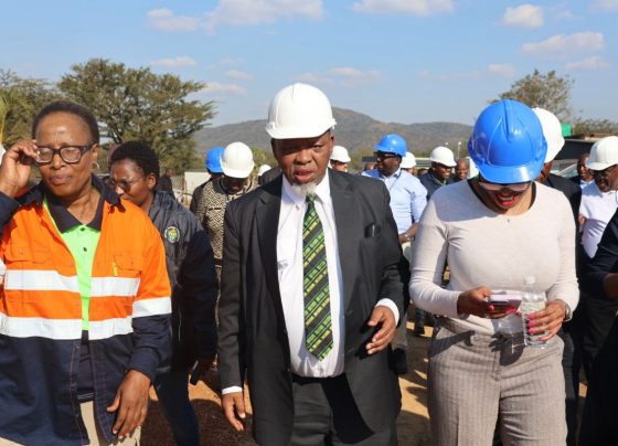 Gwede Mantashe