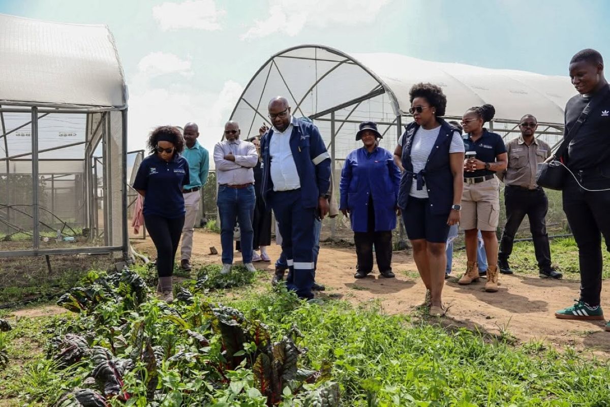 Cultivating Growth: Gauteng Leverages Agri-Youth Initiative to Drive Female Enterprise and Food Security