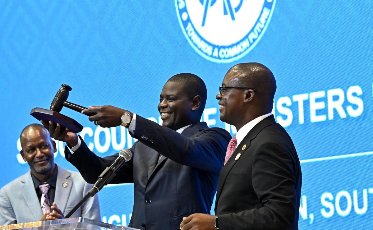 Industrialisation, Intra-Regional Trade, and Migration Reform: South Africa Assumes SADC Chairmanship