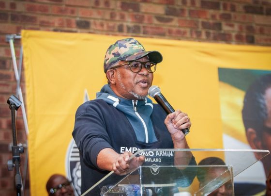 SG Fikile Mbalula