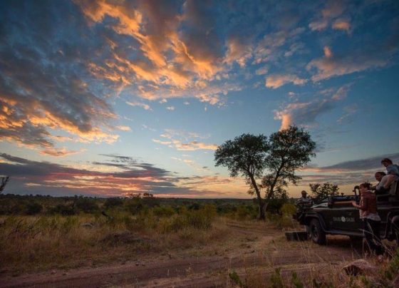 Sabi Sabi Earth Lodge