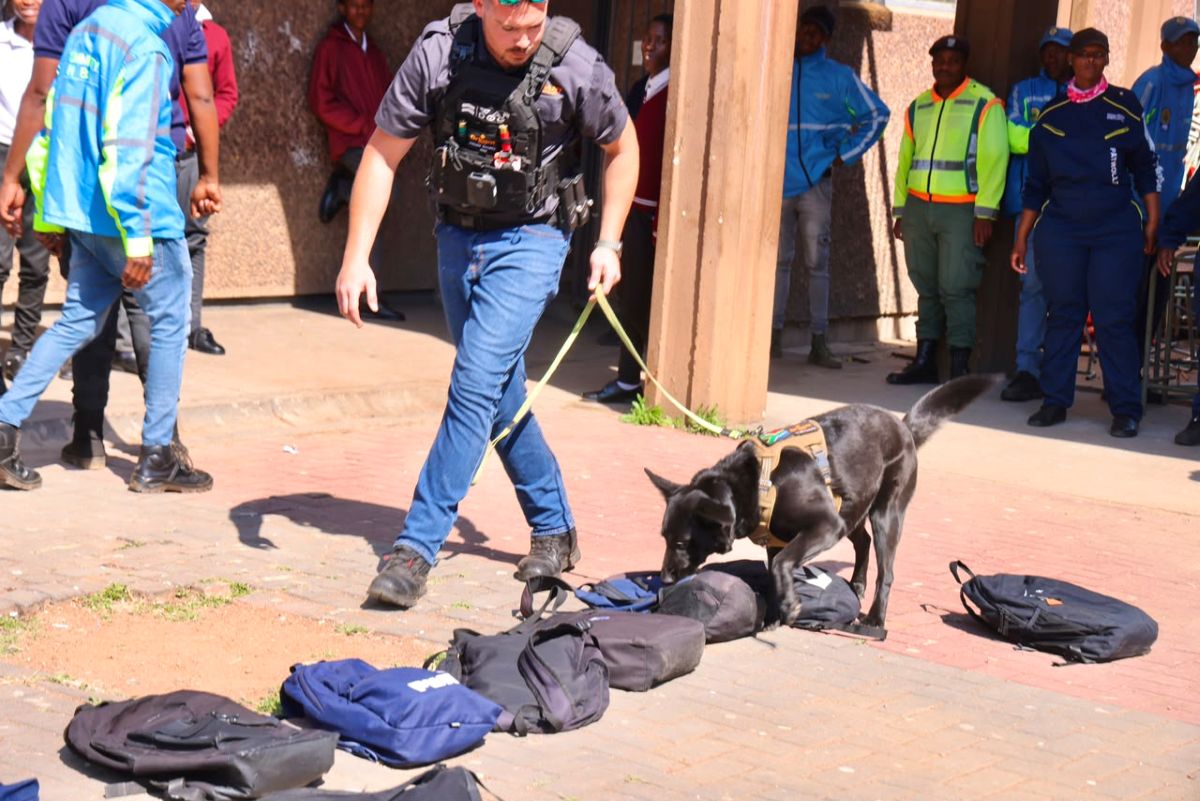 Gauteng Cracks Down on School Crime as Search Operations Uncover Drugs and Exploitation