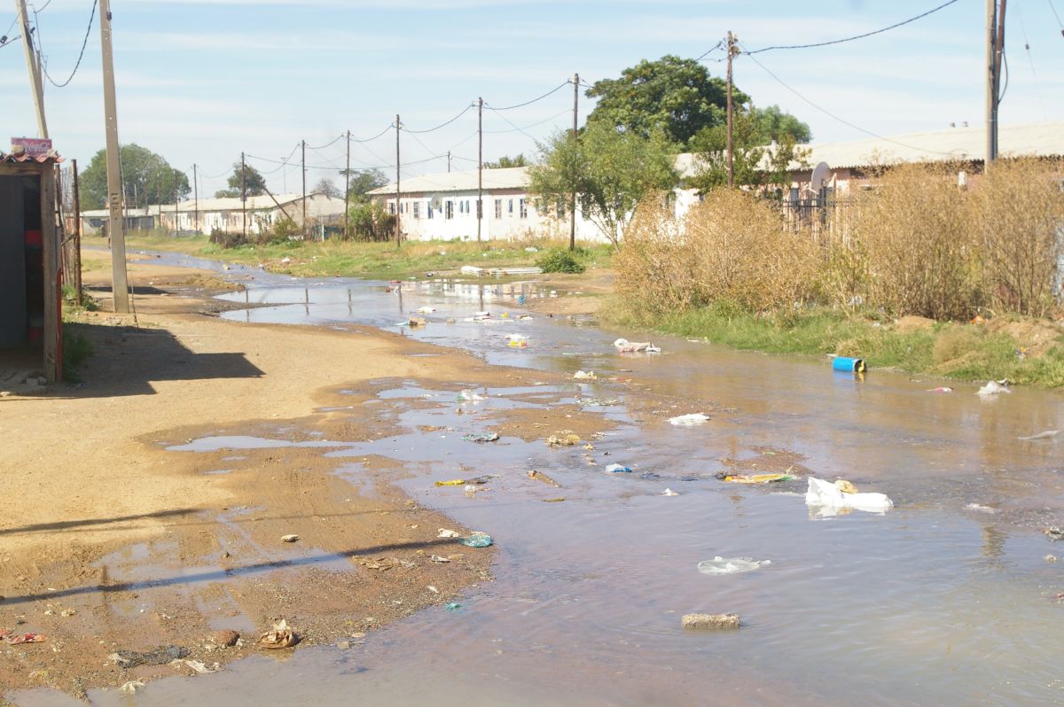 Stalled Projects and Sewage Crises: Mamabolo Demands Accountability from Failing Municipalities