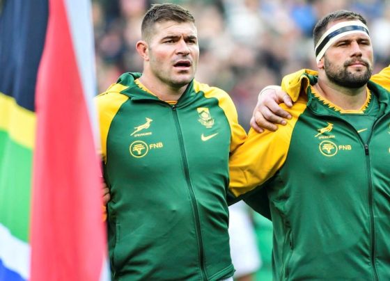 Springboks