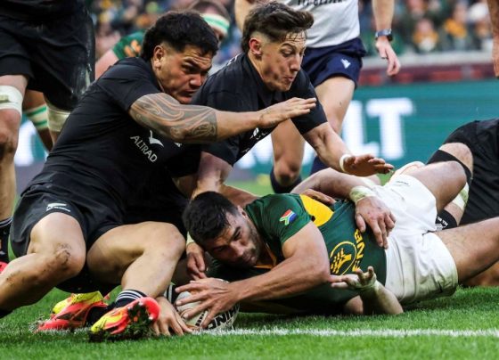 Springboks
