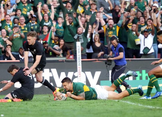 Springboks
