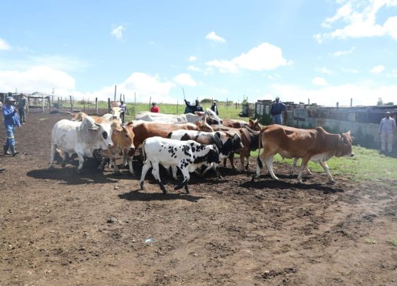 Agriculture