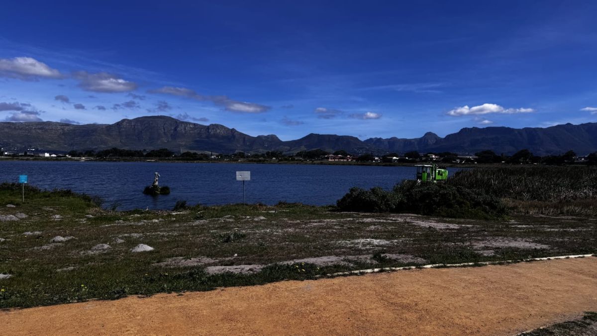 Hill-Lewis Vows Crackdown on Littering and Dumping in Cape Town Mayoral Campaign Launch