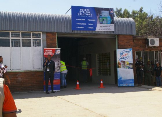 DeeDee Hygiene Solutions