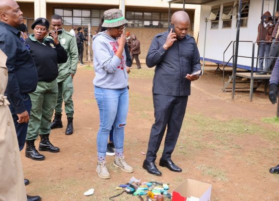 MEC Lebogang Maile